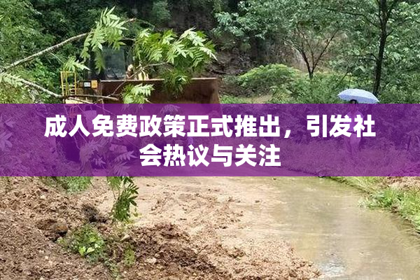 成人免费政策正式推出，引发社会热议与关注