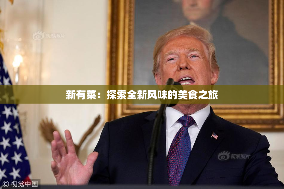 新有菜：探索全新风味的美食之旅