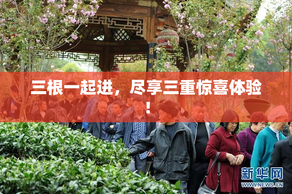 三根一起进，尽享三重惊喜体验！