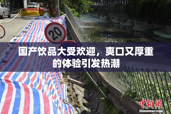 国产饮品大受欢迎，爽口又厚重的体验引发热潮