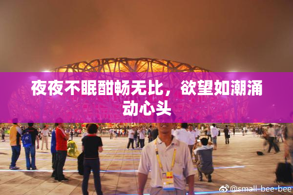 夜夜不眠酣畅无比，欲望如潮涌动心头