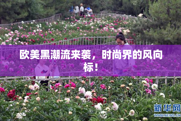 欧美黑潮流来袭，时尚界的风向标！
