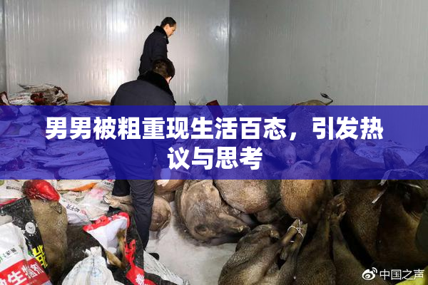 男男被粗重现生活百态，引发热议与思考