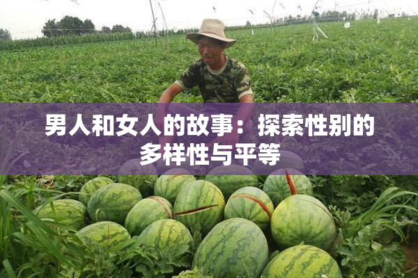 男人和女人的故事：探索性别的多样性与平等