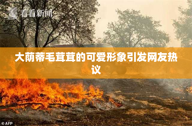 大荫蒂毛茸茸的可爱形象引发网友热议