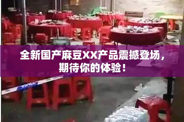 全新国产麻豆XX产品震撼登场，期待你的体验！