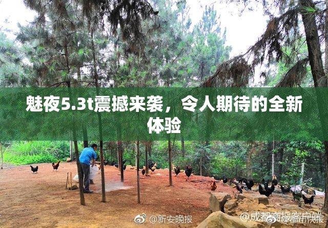 魅夜5.3t震撼来袭，令人期待的全新体验
