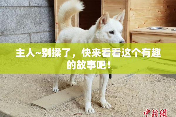 主人~别揉了，快来看看这个有趣的故事吧！