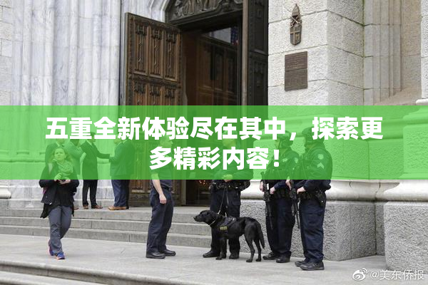 五重全新体验尽在其中，探索更多精彩内容！