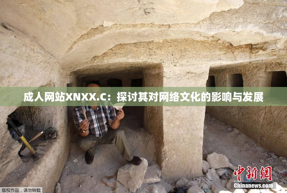 成人网站XNXX.C：探讨其对网络文化的影响与发展