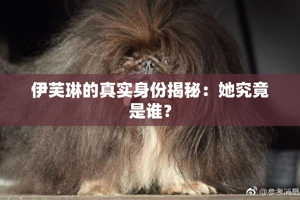 伊芙琳的真实身份揭秘：她究竟是谁？