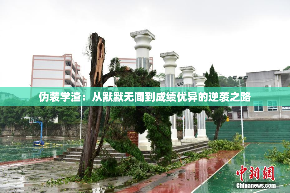 伪装学渣：从默默无闻到成绩优异的逆袭之路