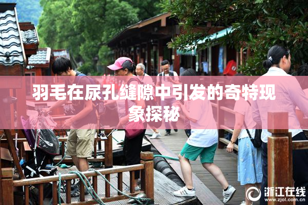 羽毛在尿孔缝隙中引发的奇特现象探秘