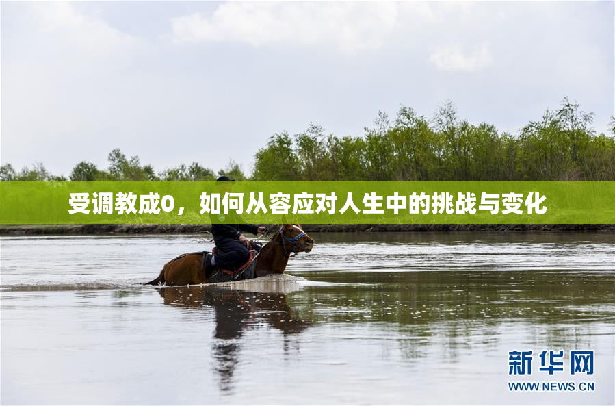 受调教成0，如何从容应对人生中的挑战与变化