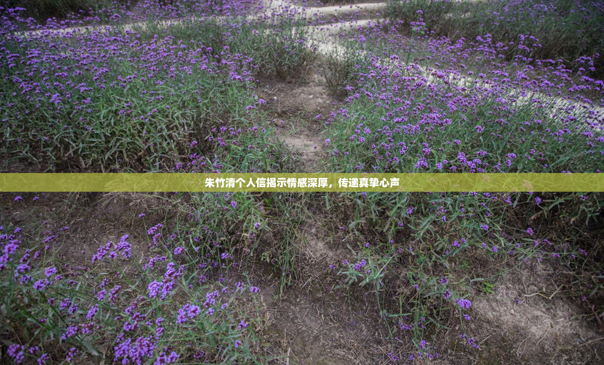 朱竹清个人信揭示情感深厚，传递真挚心声