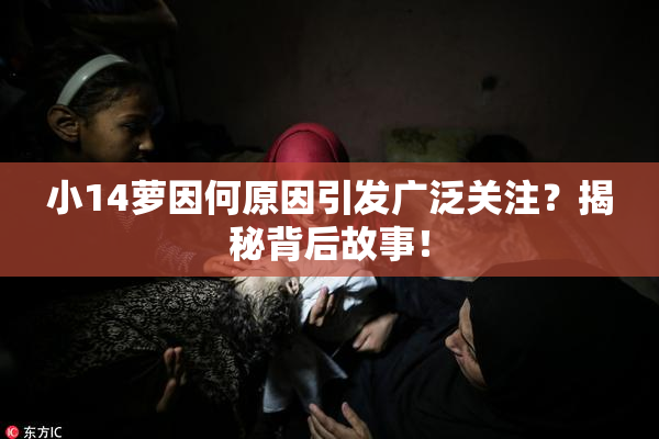 小14萝因何原因引发广泛关注？揭秘背后故事！