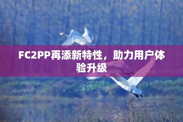 FC2PP再添新特性，助力用户体验升级