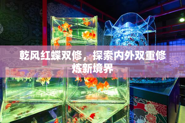 乾风红蝶双修，探索内外双重修炼新境界