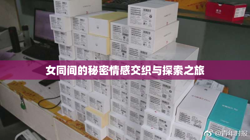 女同间的秘密情感交织与探索之旅