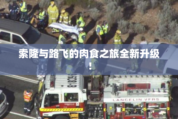 索隆与路飞的肉食之旅全新升级！