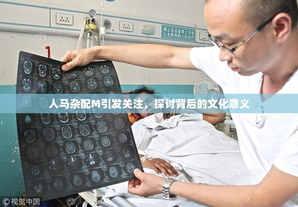 人马杂配M引发关注，探讨背后的文化意义