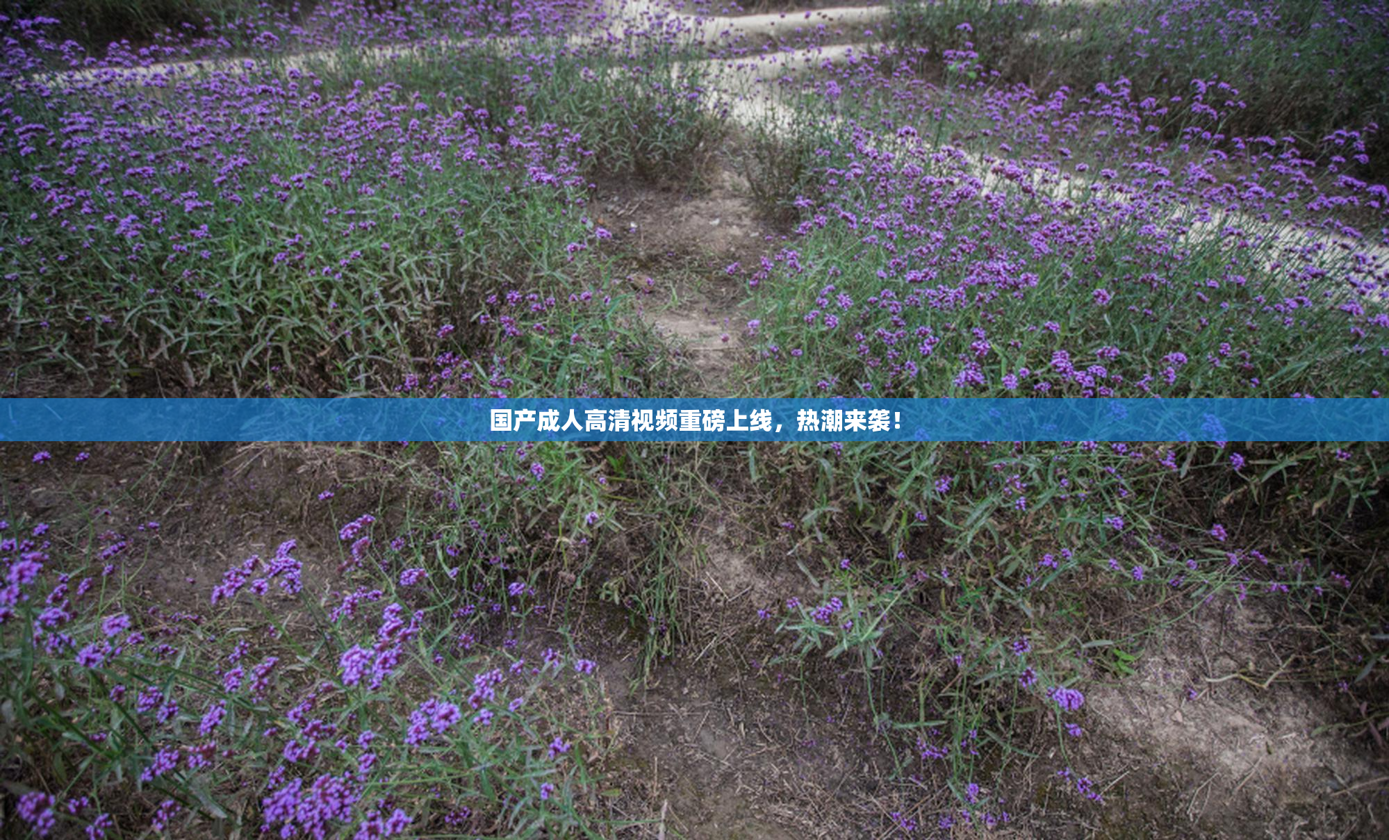 国产成人高清视频重磅上线，热潮来袭！