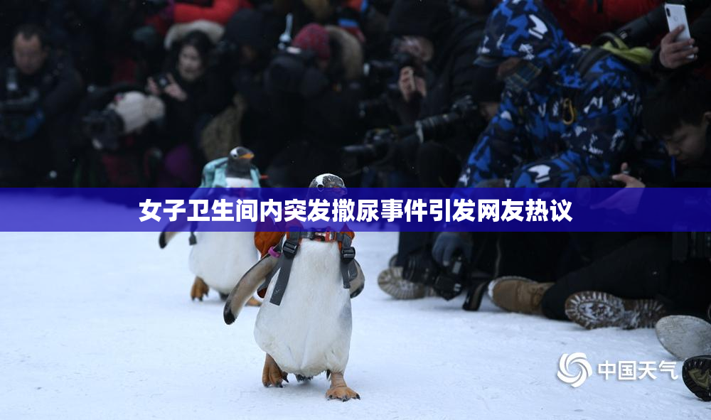 女子卫生间内突发撒尿事件引发网友热议