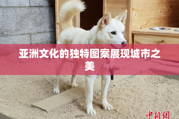 亚洲文化的独特图案展现城市之美
