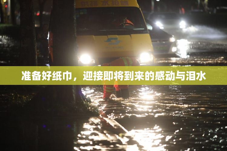 准备好纸巾，迎接即将到来的感动与泪水
