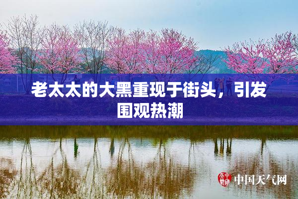 老太太的大黑重现于街头，引发围观热潮