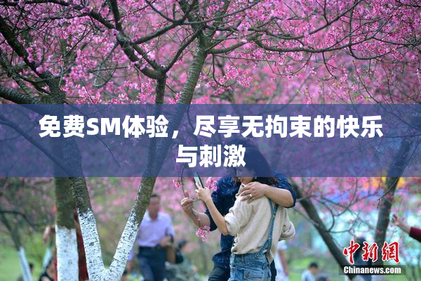 免费SM体验，尽享无拘束的快乐与刺激