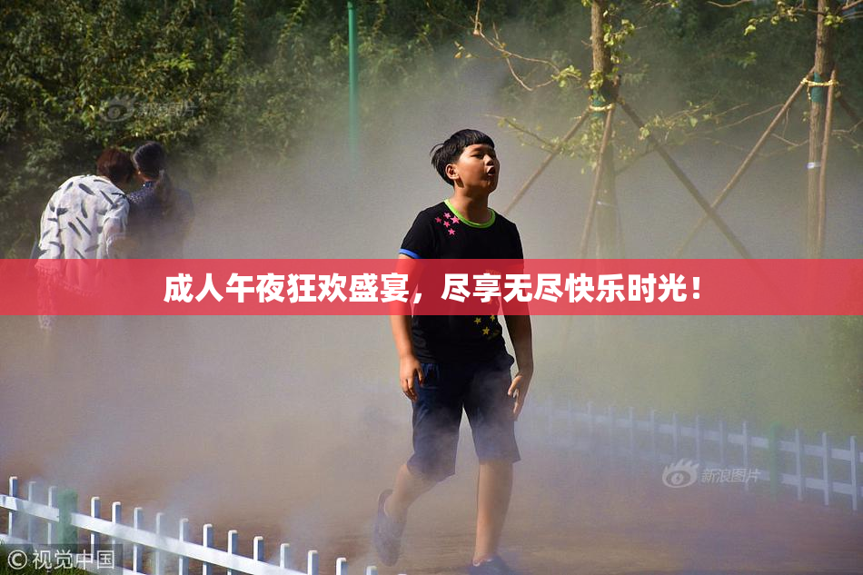 成人午夜狂欢盛宴，尽享无尽快乐时光！