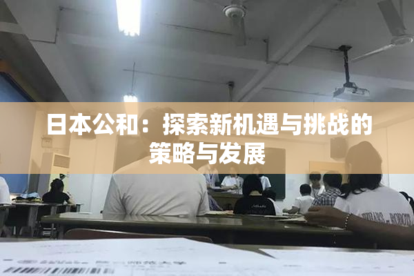 日本公和：探索新机遇与挑战的策略与发展