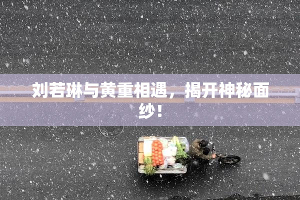 刘若琳与黄重相遇，揭开神秘面纱！