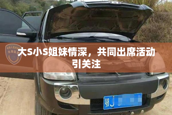 大S小S姐妹情深，共同出席活动引关注