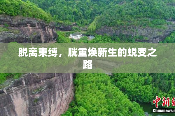 脱离束缚，胱重焕新生的蜕变之路