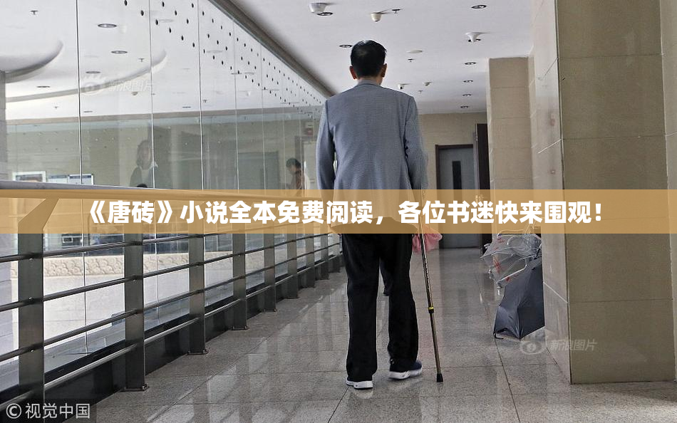 《唐砖》小说全本免费阅读，各位书迷快来围观！