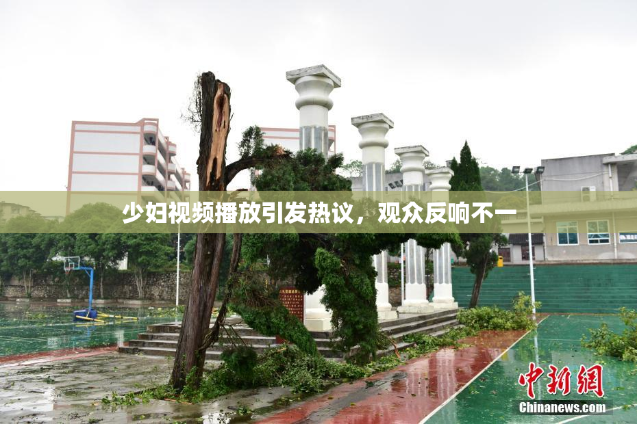 少妇视频播放引发热议，观众反响不一