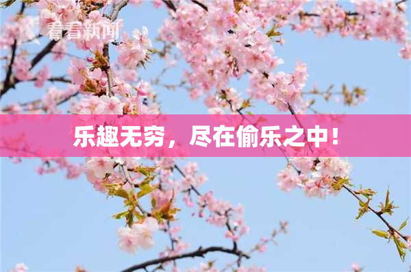 乐趣无穷，尽在偷乐之中！