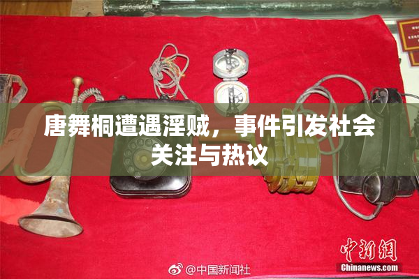 唐舞桐遭遇淫贼，事件引发社会关注与热议