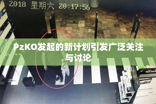 PzKO发起的新计划引发广泛关注与讨论