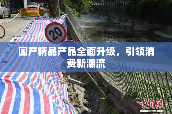国产精品产品全面升级，引领消费新潮流