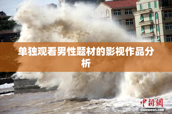 单独观看男性题材的影视作品分析