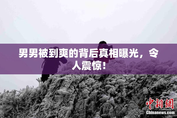 男男被到爽的背后真相曝光，令人震惊！