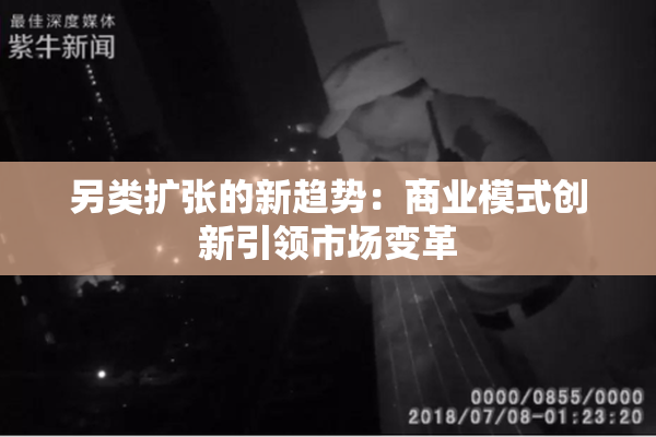另类扩张的新趋势：商业模式创新引领市场变革