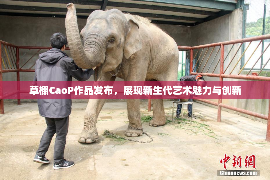 草棚CaoP作品发布，展现新生代艺术魅力与创新