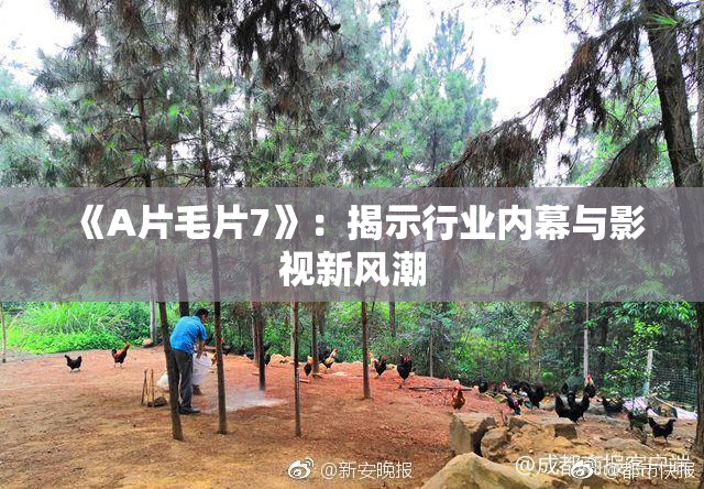 《A片毛片7》：揭示行业内幕与影视新风潮