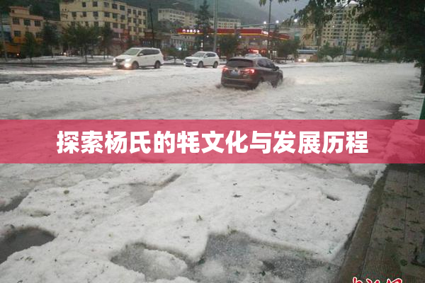 探索杨氏的牦文化与发展历程