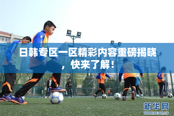 日韩专区一区精彩内容重磅揭晓，快来了解！