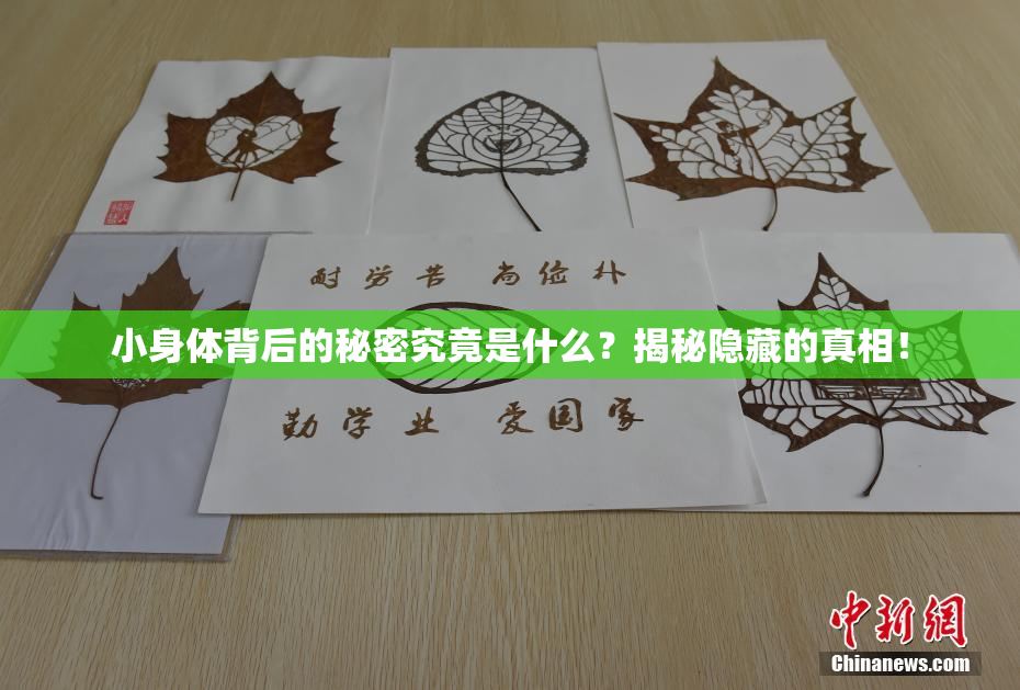 小身体背后的秘密究竟是什么？揭秘隐藏的真相！